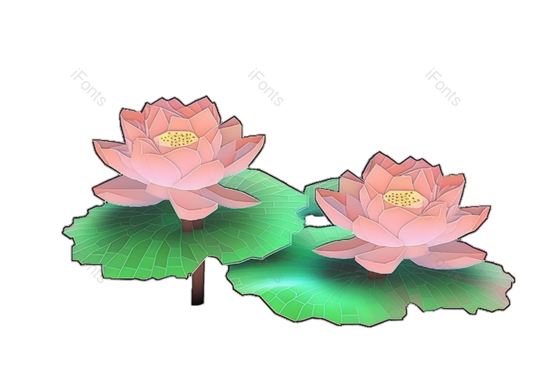 叶子图片,装饰元素,夏至PNG,元素免抠素材